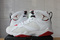 BUTY MĘSKIE NIKE AIR JORDAN RETRO 7 "Hare" 304775-125