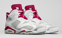 Męskie buty NIKE AIR JORDAN 6 Alternate 384664-113