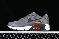 Buty męskie Nike Air Max 90 CW7481-001