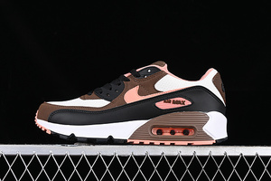 Buty damskie Nike Air Max 90 DM0029-105