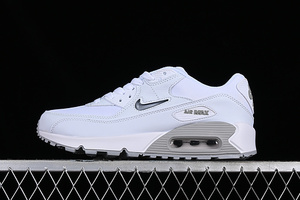 Buty męskie Nike Air Max 90 FN8005-100
