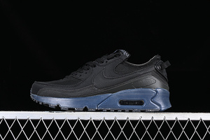 Buty damskie Nike Air Max terrascape 90 DQ3987-002