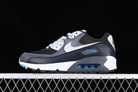Buty męskie Nike Air Max 90 DJ9779-004