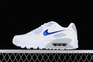Buty damskie Nike Air Max 90 DX0115-100