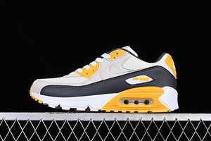 Buty męskie Nike Air Max 90 DM0029-103