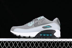 Buty damskie Nike Air Max 90 DM0029-002