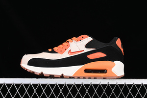 Buty damskie Nike Air Max 90 CJ0611-100