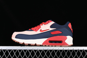 Buty damskie Nike Air Max 90 CJ0611-101