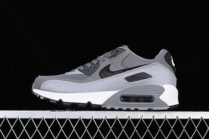 Buty męskie Nike Air Max 90 DC9388-003