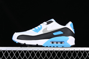 Buty męskie Nike Air Max 90 CJ6799-100