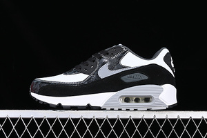 Buty damskie Nike Air Max 90 CD0916-100