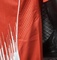 Koszulka piłkarska BAYERN MONACHIUM home 25/26 Authentic ADIDAS #9 Kane