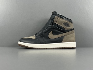 Buty męskie NIKE AIR JORDAN 1 "Palomino" High DZ5485-020