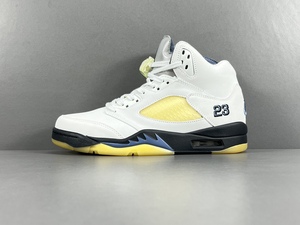 Buty męskie Nike AIR JORDAN 5 "Photon Dust" FZ5758-004