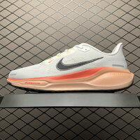 Buty męskie  Nike Air Zoom Pegasus 41 IB6656-108