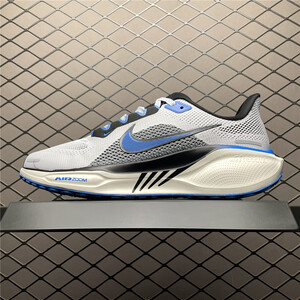 Buty męskie  Nike Air Zoom Pegasus 41 HV5218-100