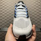 Buty męskie  Nike Air Zoom Pegasus 41 HV5218-100