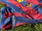 Koszulka piłkarska FC BARCELONA Home Retro 09/10 Nike #9 Ibrahimović roz. L