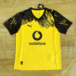 Koszulka piłkarska BORUSSIA Dortmund  Home 25/26 Puma #10 Brandt