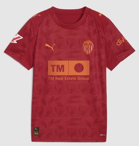 Koszulka piłkarska Valencia CF away Puma 25/26
