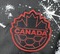 Koszulka piłkarska Kanada away World Cup 2026 Nike