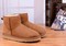 Zimowe buty ŚNIEGOWCE UGG Australia Classic Mini , jasne brązowe , model 5854