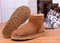 Zimowe buty ŚNIEGOWCE UGG Australia Classic Mini , jasne brązowe , model 5854