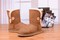 Zimowe buty ŚNIEGOWCE UGG Australia Bailey Button II , jasne brązowe , model 5803