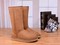 Zimowe buty ŚNIEGOWCE UGG Australia W Classic Tall II , jasne brązowe , model 5815