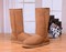 Zimowe buty ŚNIEGOWCE UGG Australia W Classic Tall II , jasne brązowe , model 5815