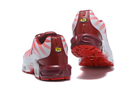 BUTY męskie Nike Air Max Plus AQ0237-101 “After the Bite”