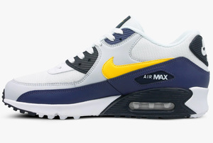 Buty męskie Nike Air Max 90 Essential AJ1285-101
