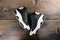 Buty męskie NIKE AIR JORDAN 13 RETRO "Love & Respect" 888165-012