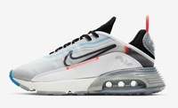 Buty damskie  Nike Air Max 2090 CT7695-100