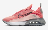 Buty damskie  Nike Air Max 2090 CT7698-600