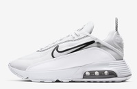 Buty damskie  Nike Air Max 2090 CK2612-100