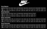 Buty męskie Nike Air Jordan 6 CI0550-600