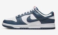 Buty męskie NIKE SB DUNK LOW VALERIAN BLUE DD1391-400