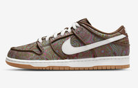 Buty męskie NIKE SB DUNK LOW PAISLEY DH7534-200