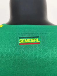 Koszulka piłkarska Senegal away Authentic 2022/23 PUMA