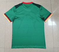 Koszulka piłkarska KAMERUN home  2022/23 ONE