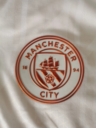 Koszulka piłkarska Manchester City Authentic away 23/24 Puma #9 Haaland