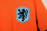 Koszulka piłkarska HOLANDIA home 2024 NIKE #4 van Dijk