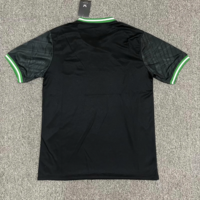 Koszulka piłkarska Feyenoord away 24/25 Castore