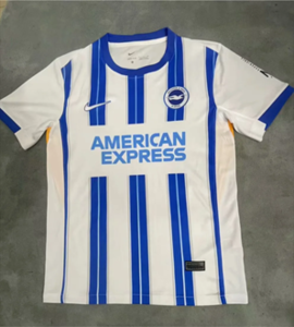 Koszulka piłkarska BRIGHTON Home 24/25 NIKE #15 Moder